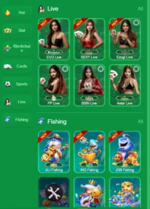 HD77 Game 4