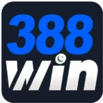 388 win